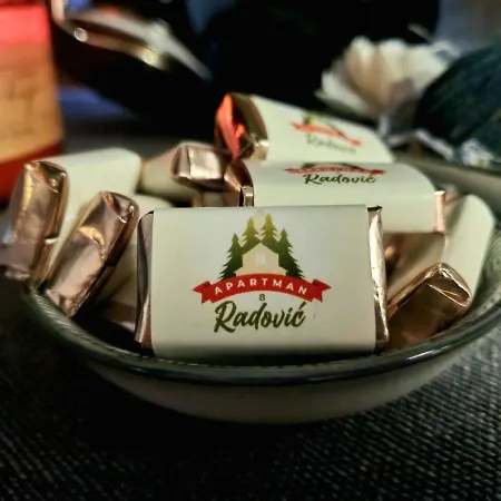 Darija_apartman 8_radovic Apartman Zlatibor